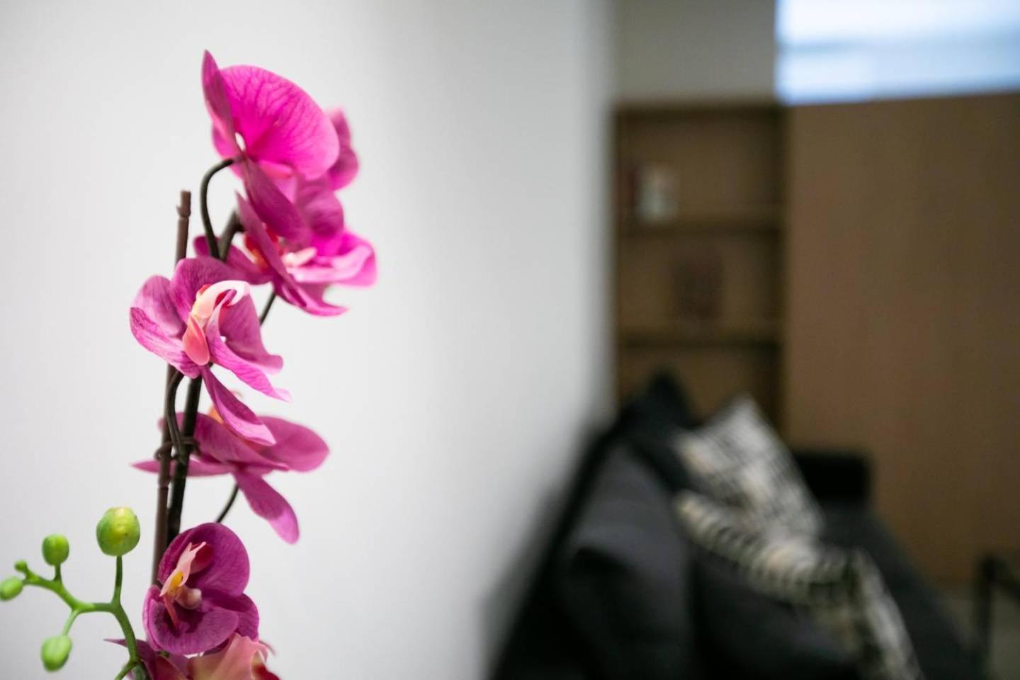 Apartment Toni's Syntagma, 1 Min From Metro Station *